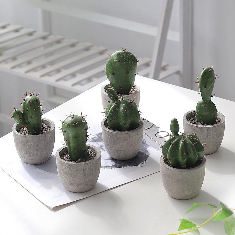 Artificial Plant Fake Mini Potted Fake Cactus Desktop Home Decor - CHALIER