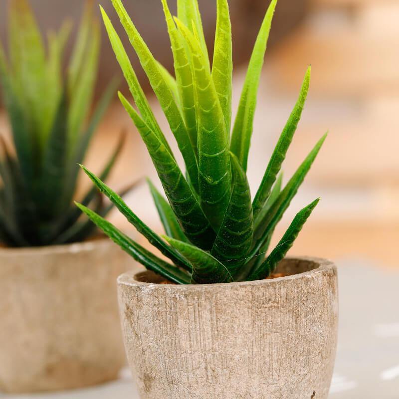 Artificial Potted Plant Fake Greenery Realistic Fake Plants For Home And Office Decoration - CHALIER