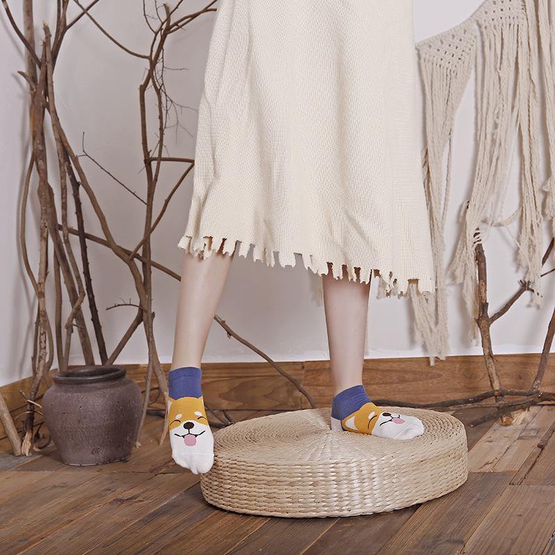 Womens Low Cut Socks Cat Dog Piggy Owl Cute Funny Animal Design Women Teen Girl 5pairs - CHALIER