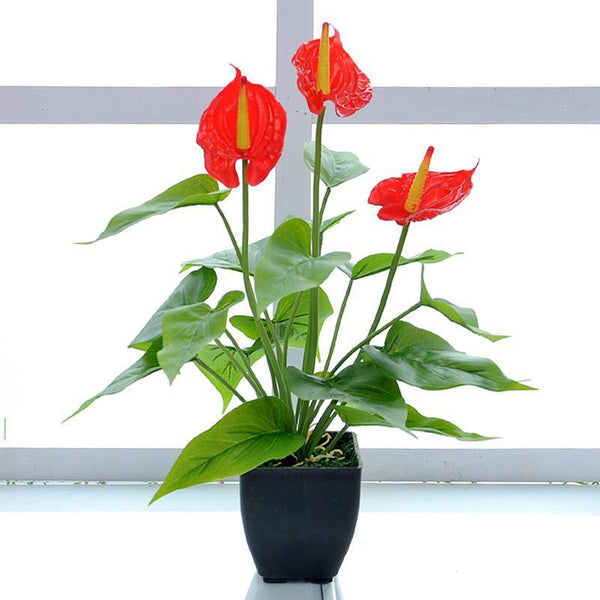 Artificial Plants Flower Potted Plastic Common Callalily Decoration For Home Party - CHALIER