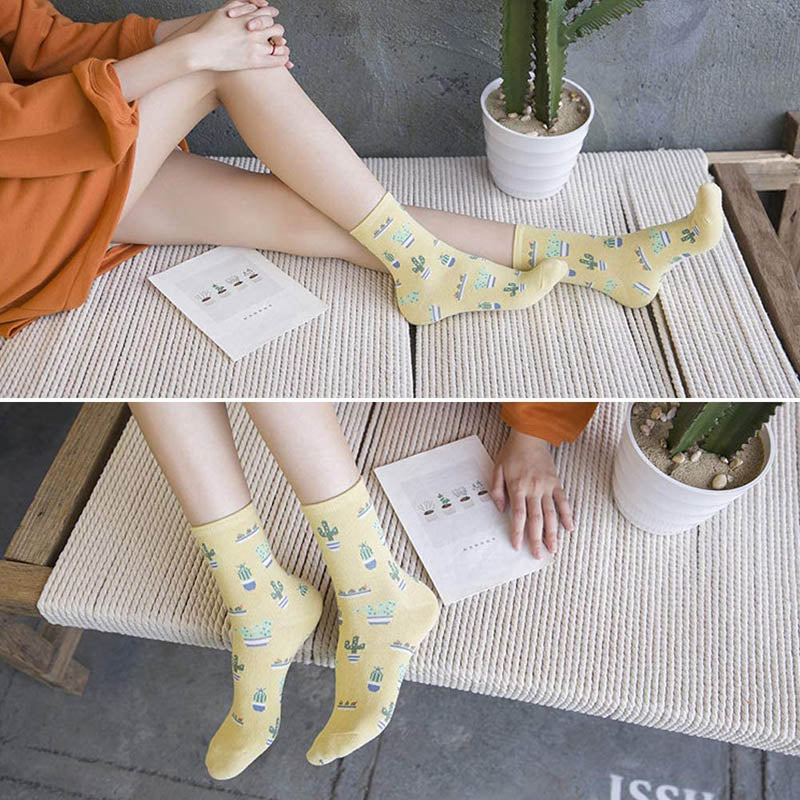 Womens Socks Cactus Print Cartoon Cotton Socks 5 Pairs Gift
