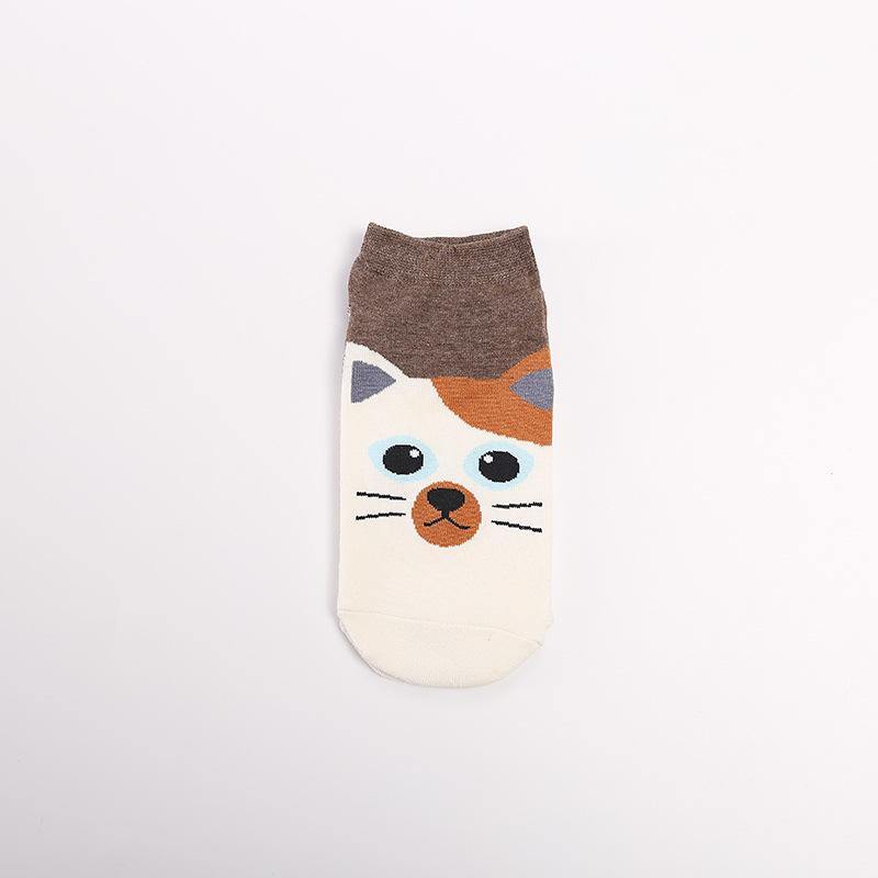 Womens Low Cut Socks Cat Dog Piggy Owl Cute Funny Animal Design Women Teen Girl 5pairs - CHALIER