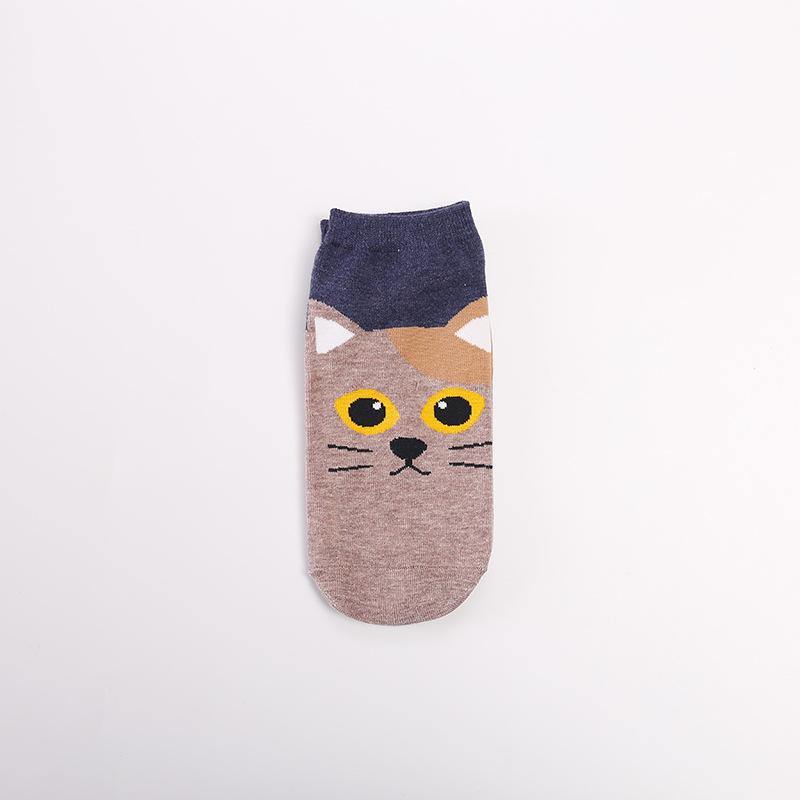 Womens Low Cut Socks Cat Dog Piggy Owl Cute Funny Animal Design Women Teen Girl 5pairs - CHALIER