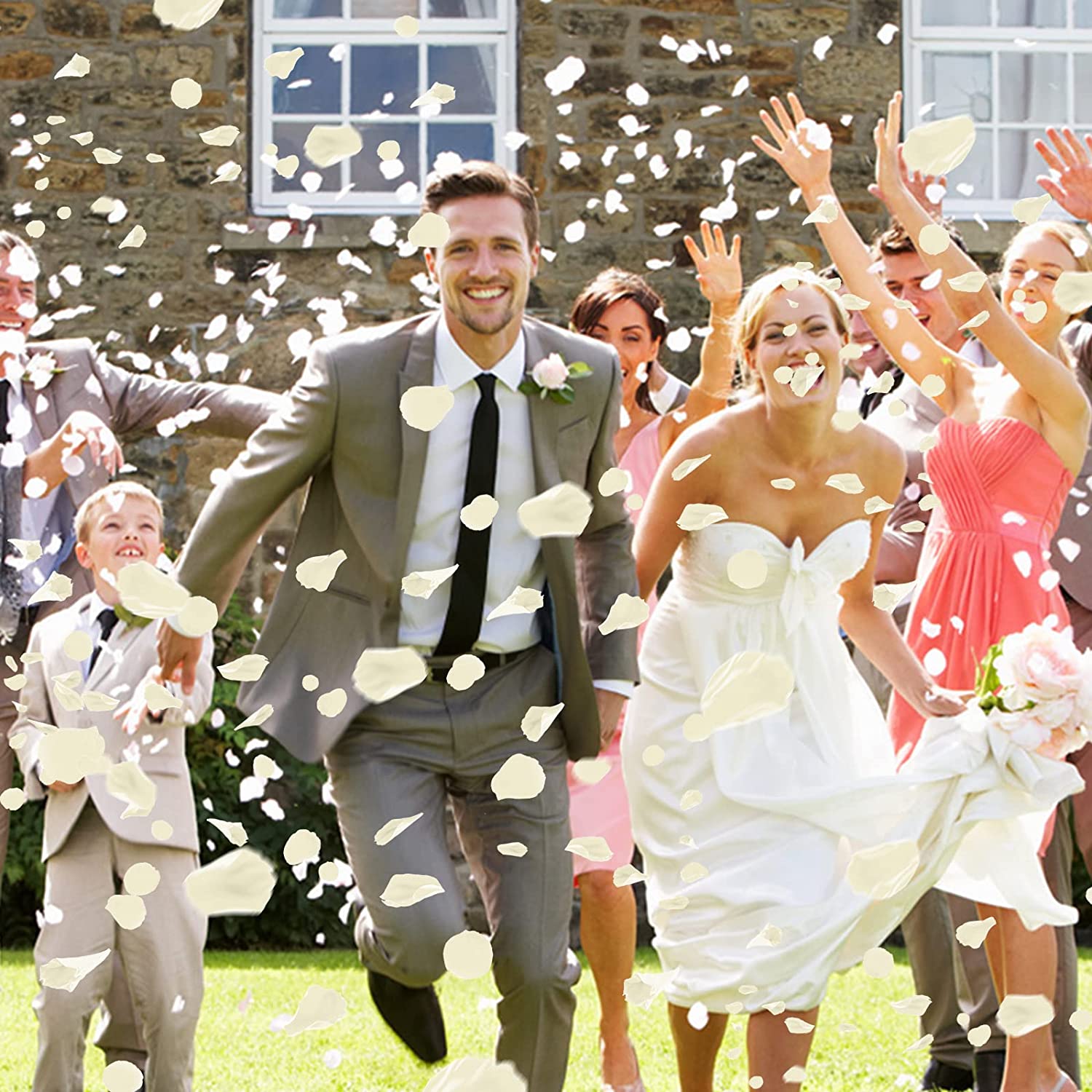 3000 Pcs Rose Petals Artificial Flowers Silk Petals for Valentine's Day Wedding Decor Rose Petals for Romantic Night Bridal Party Decorations