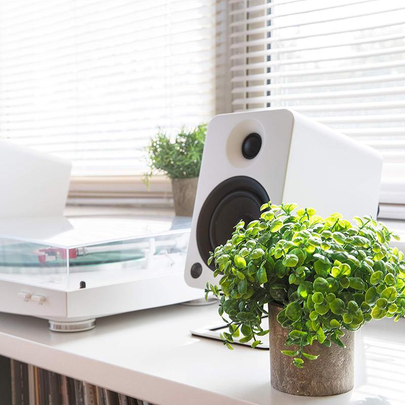 Artificial Potted Eucalyptus and Boxwood Plants Set of 2 – Two-Toned Plastic Fake Greenery for decoration - CHALIER