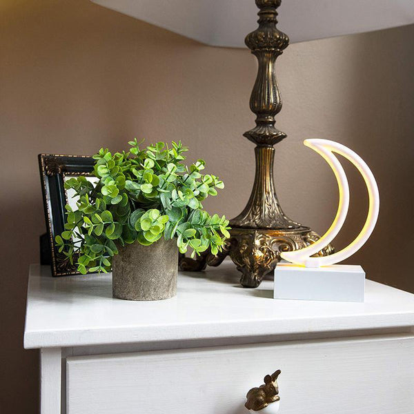 Artificial Potted Eucalyptus and Boxwood Plants Set of 2 – Two-Toned Plastic Fake Greenery for decoration - CHALIER