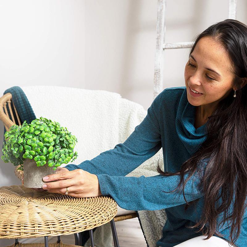 Artificial Potted Eucalyptus and Boxwood Plants Set of 2 – Two-Toned Plastic Fake Greenery for decoration - CHALIER