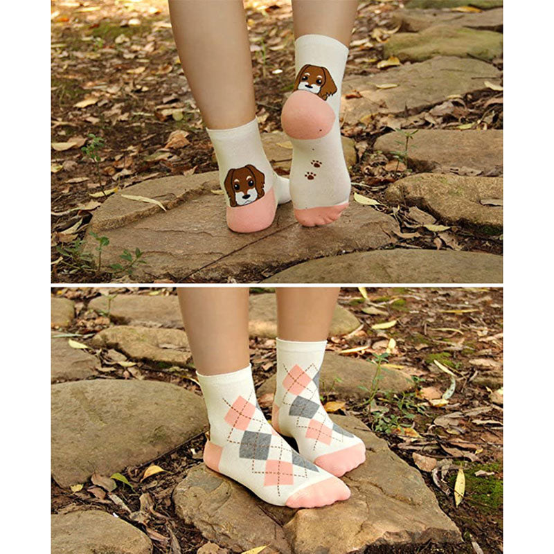 Women Cute Animal Socks Colorful Cotton Socks 5 Pairs
