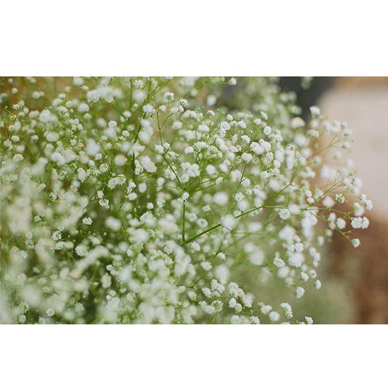 Artificial Silk Gypsophila Fake Flowers Real Touch Bouquets Plants for Wedding Party Home  Decoration  Gift - CHALIER