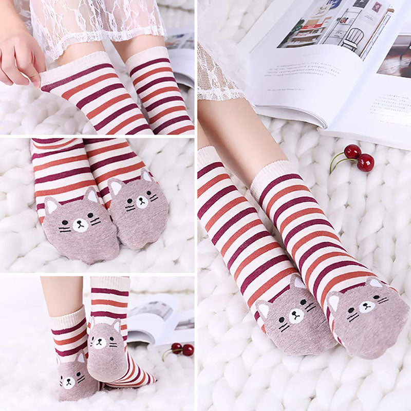 Women Cute Animal Socks Colorful Stripes Soft Cotton Socks Set