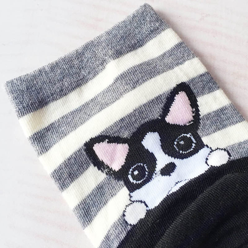 Women Cute Animal Socks Colorful Stripes Soft Cotton Socks Set