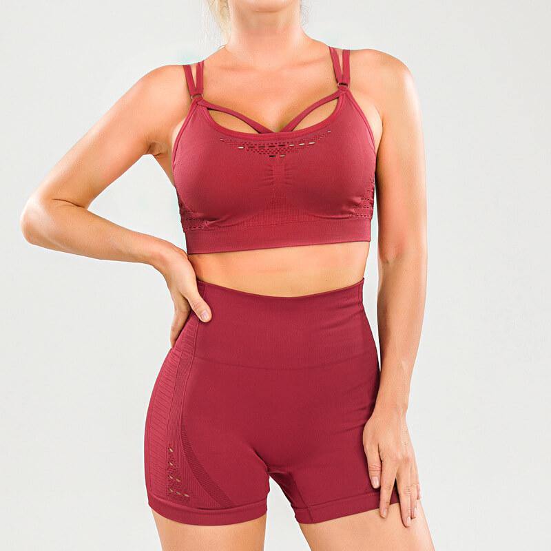 Women's Sleeveles 2 Piece Outfits High Waist Workout Shorts Yoga Sports Bra - CHALIER