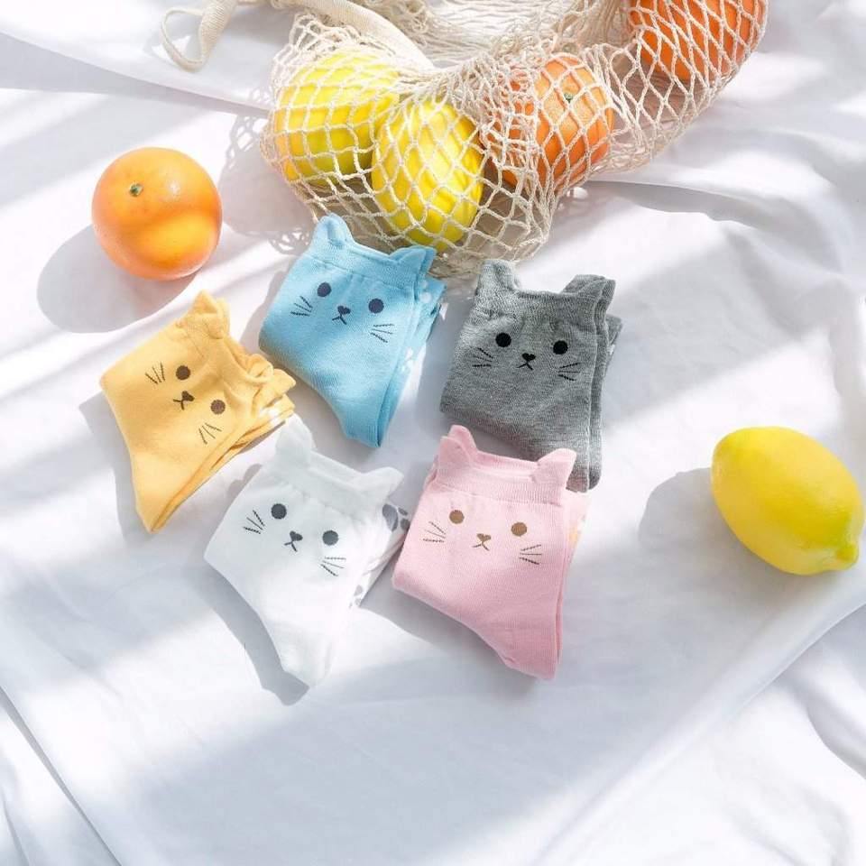 Womens Cotton Cartoon Cute Cat Ears Socks Set 5 Pairs - CHALIER