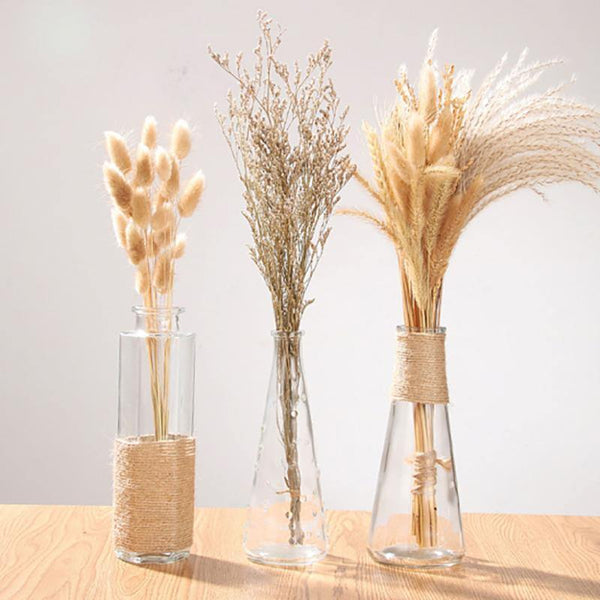 30PCS Natural Dried Flowers Rabbit Tail Grass Natural Plants Real Flower Bouquets for Home Wedding Pastoral  Decoration - CHALIER